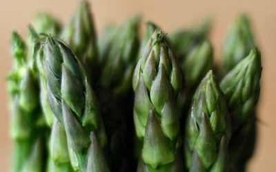 Perú se reunirá con EE.UU. en abril para evaluar ingreso de espárragos sin fumigación