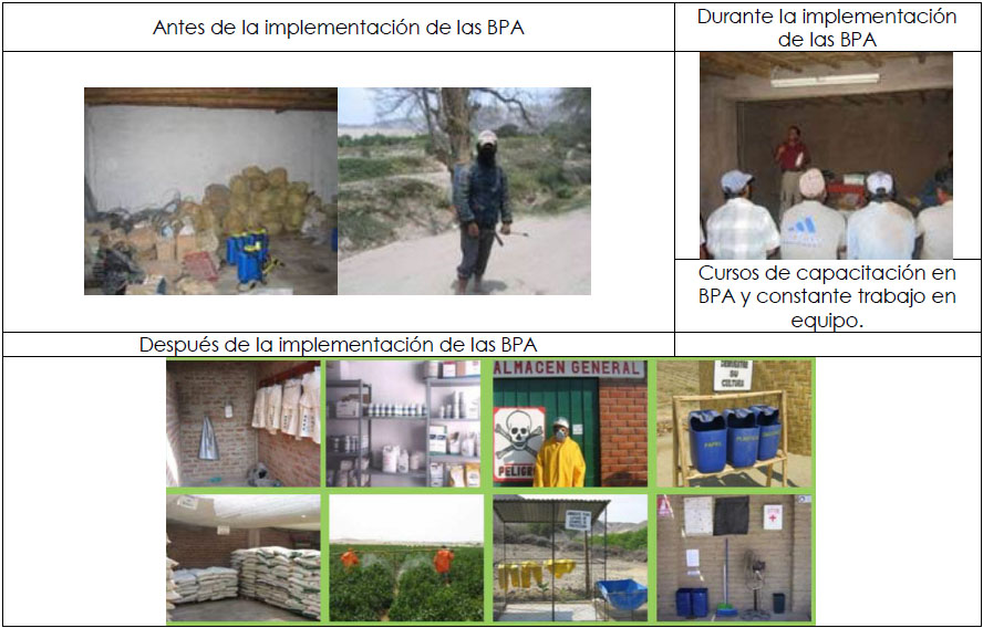 proyecto BID