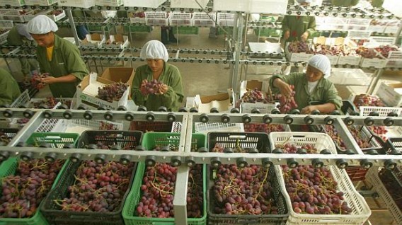 Agroexportaciones lograrían ventas por US$ 180 millones en Asia Fruit Logística 2019