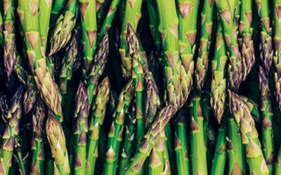 Las exportaciones de espárrago fresco crecen 13%